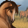 Rubicano Buckskin (#329193)